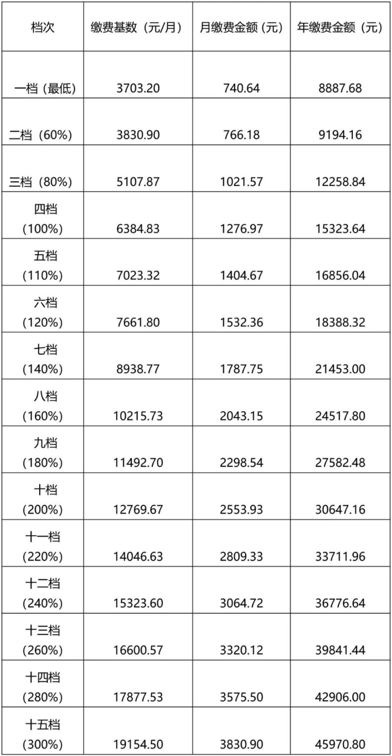 长春社保缴费